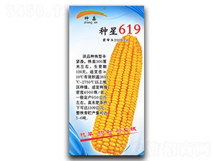 ����619-��������-������ҵ