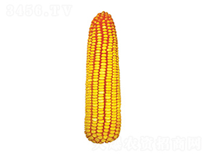 ����718-��������-������ҵ