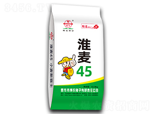 ����45-С������-��ũ