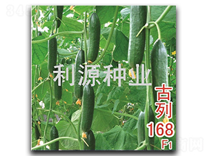 ����168-�ƹ�����-��Դ��ҵ