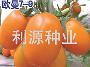 ŷ��7-9-��������-��Դ��ҵ