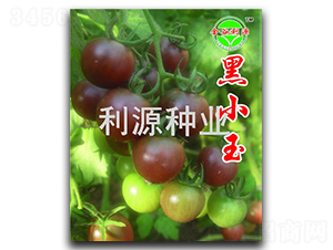 �\С��-ӣ�ҷ�������-��Դ��ҵ