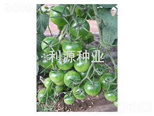 ����-ӣ�ҷ�������-��Դ��ҵ