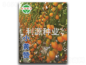С����-ӣ�ҷ�������-��Դ��ҵ