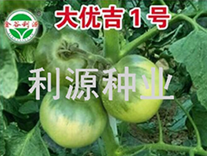 ���ż�1��-��������-��Դ��ҵ
