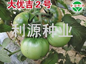 ���ż�2��-��������-��Դ��ҵ