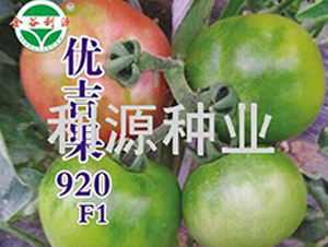 �ż���920-��������-��Դ��ҵ