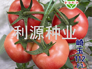 ����112-��������-��Դ��ҵ