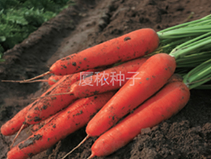 �鸣918-���ܲ�����-�ö�ũҵ