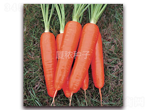 �鸣517-���ܲ�����-�ö�ũҵ