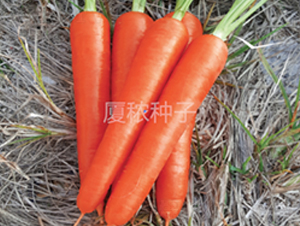 ˳��167-���ܲ�����-�ö�ũҵ