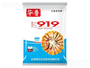 ³��919-�����ӽ���-Ԭ��ũҵ