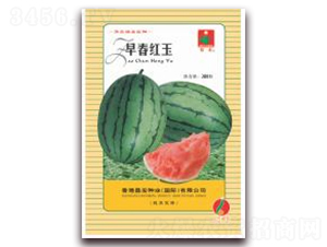�紺����-��������-��ũ��ҵ