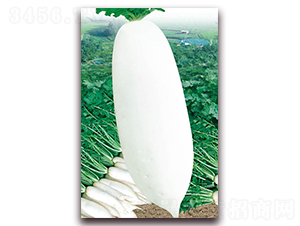�Ž������ܲ�-���ܲ�����-��ũ��ҵ