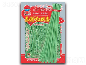 ̩������˫ϲ-��������-��ũ��ҵ