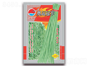 ���˹ھ�-��������-��ũ��ҵ