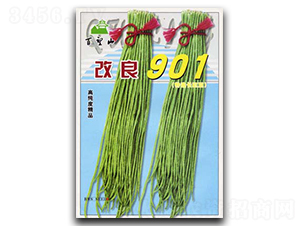 ����901-��������-�̰���