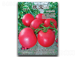 �屦103-��������-�̰���