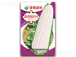 ����Ŵ810-��Ŵ��������-�����ϲ�