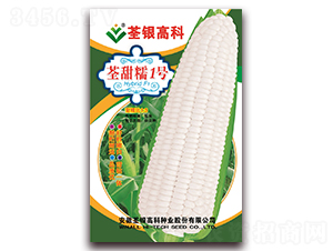 ����Ŵ1��-��Ŵ��������-�����ϲ�