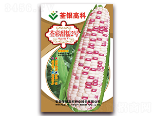 ������Ŵ2��-��Ŵ��������-�����ϲ�