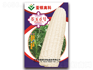 ����6��-Ŵ��������-�����ϲ�