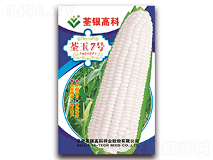 ����7��-Ŵ��������-�����ϲ�