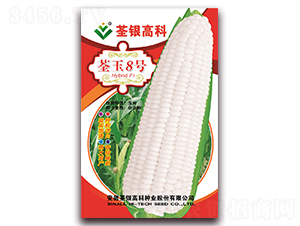 ����8��-Ŵ��������-�����ϲ�