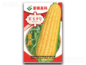 ����9��-Ŵ��������-�����ϲ�