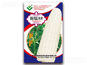 ��Ŵ88-Ŵ��������-�����ϲ�
