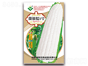 ����Ŵ1��-Ŵ��������-�����ϲ�
