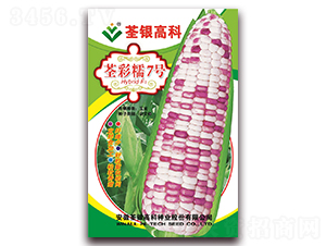 ����Ŵ7��-Ŵ��������-�����ϲ�