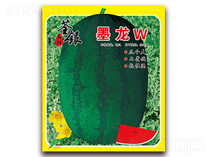 ī��W-��������-�����ϲ�
