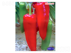 �пƽ�106-��������-������
