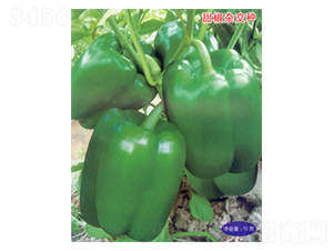 �пƽ�105-��������-������