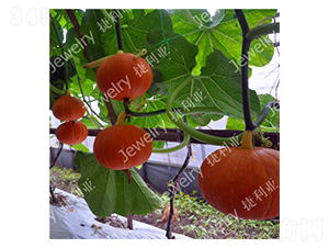 ����119-�Ϲ�����-������