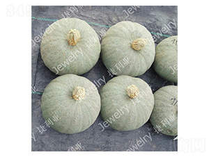 ����161-�Ϲ�����-������