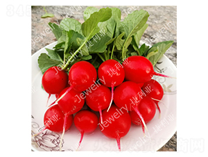 ����3��-ӣ���ܲ�����-������