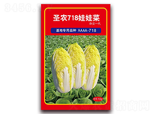 ʥũ718���޲�-���޲�����-ʥũ�߿�