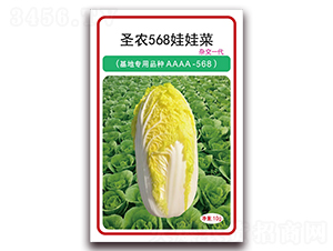 ʥũ568���޲�-���޲�����-ʥũ�߿�