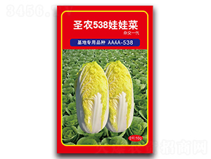 ʥũ538���޲�-���޲�����-ʥũ�߿�
