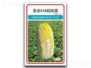 ʥũ518���޲�-���޲�����-ʥũ�߿�