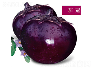 �ѹ�-��������-������ҵ