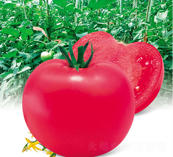 �л��۹�-��������-������ҵ