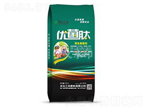 �ž���-��ũ����
