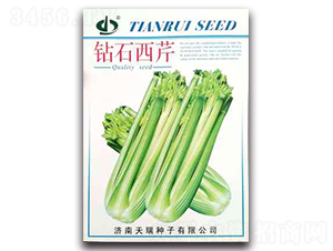20g��ʯ����-�۲�����-��������