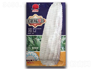 ����Ŵ9B-Ŵ��������-��������