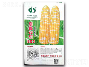 Ȫ��˫��803-Ŵ��������-��������