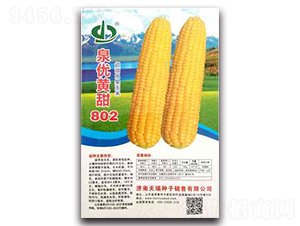 Ȫ�Ż���802-Ŵ��������-��������