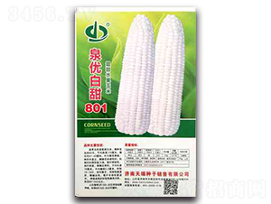 Ȫ�Ű���801-Ŵ��������-��������